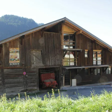 Chatel, 3 Pieces, 6 Personnes - Fr-1-200-243 아파트